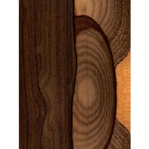 Chapa de madera de Ziricote | m2