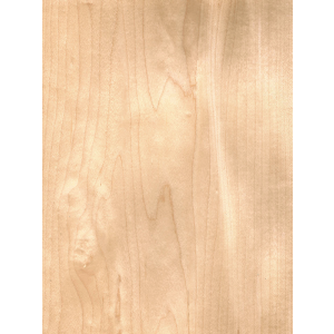 Chapa de madera de Maple | m2