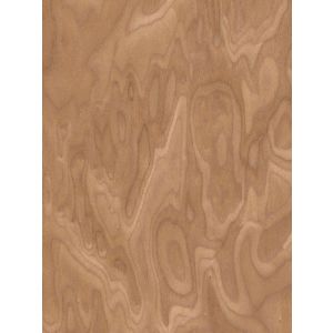 Raíz de Nogal - Chapa de madera precompuesta ALPI | m2