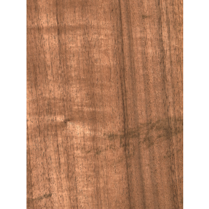 Chapa de madera de Tzalam | m2