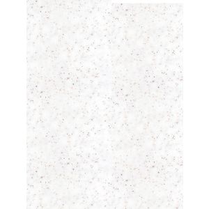 Cubierta de Superficie Sólida Everform™, color 931 White Spex, 0.76 X 3.66 m